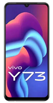 Vivo Y73 Reviews in Pakistan